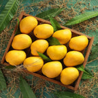 SAROLI