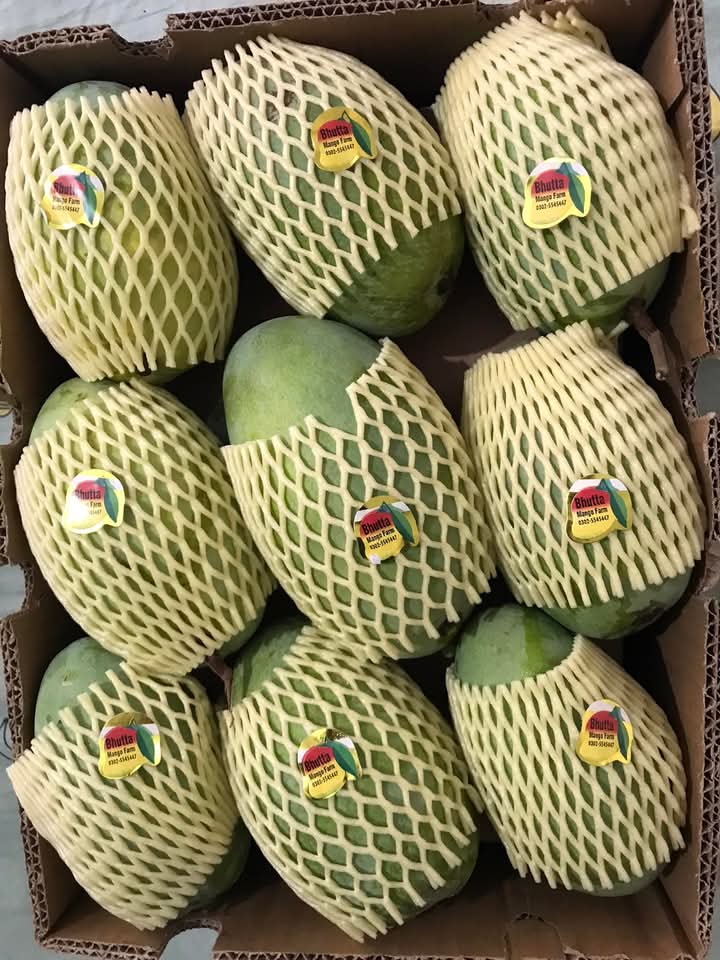 White Chaunsa Export Grade (Free Home Delivery)