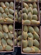 White Chaunsa Export Grade (Free Home Delivery)